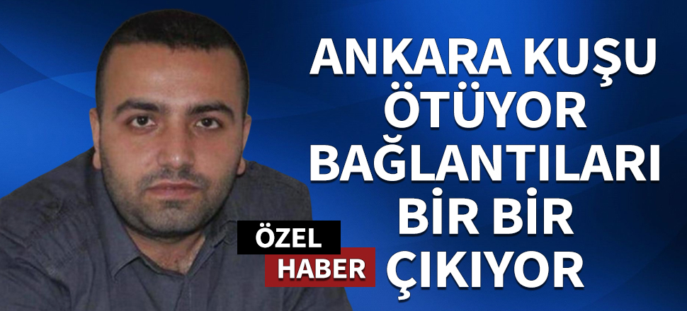 'Ankara Kuşu' ötüyor! Bağlantıları bir bir çıkıyor