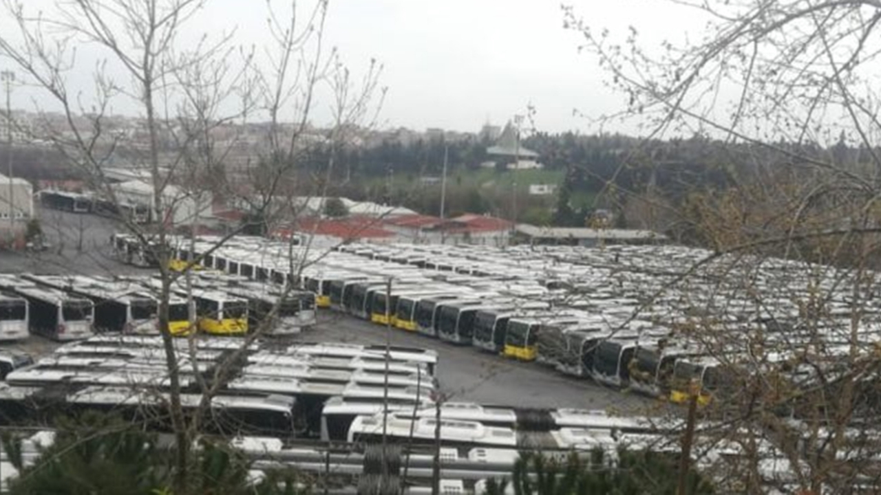 Her şeyi ortaya koyan fotoğraf!