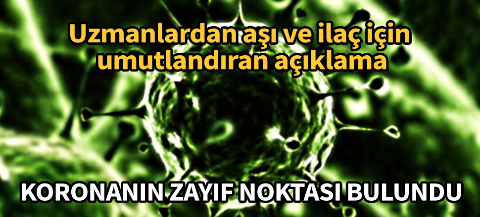 Uzmanlardan koronavirüs için umutlandıran açıklama:  Zayıf noktasını bulduk