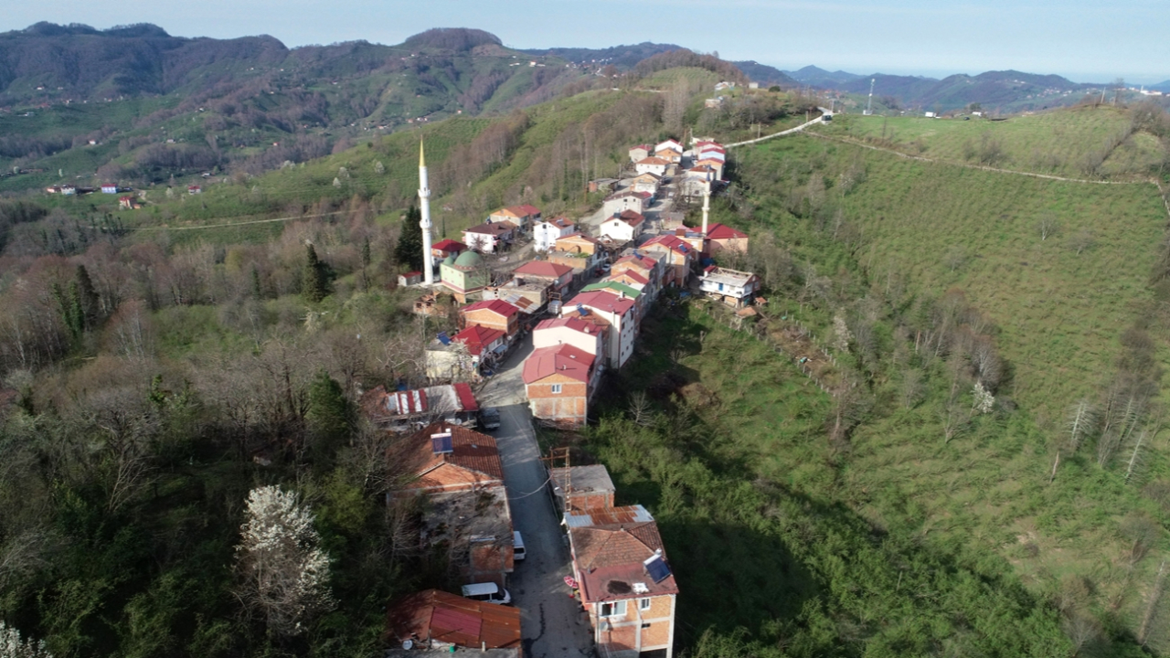 Seyahat yasağı iki şehri ayıran caddede uygulanamıyor
