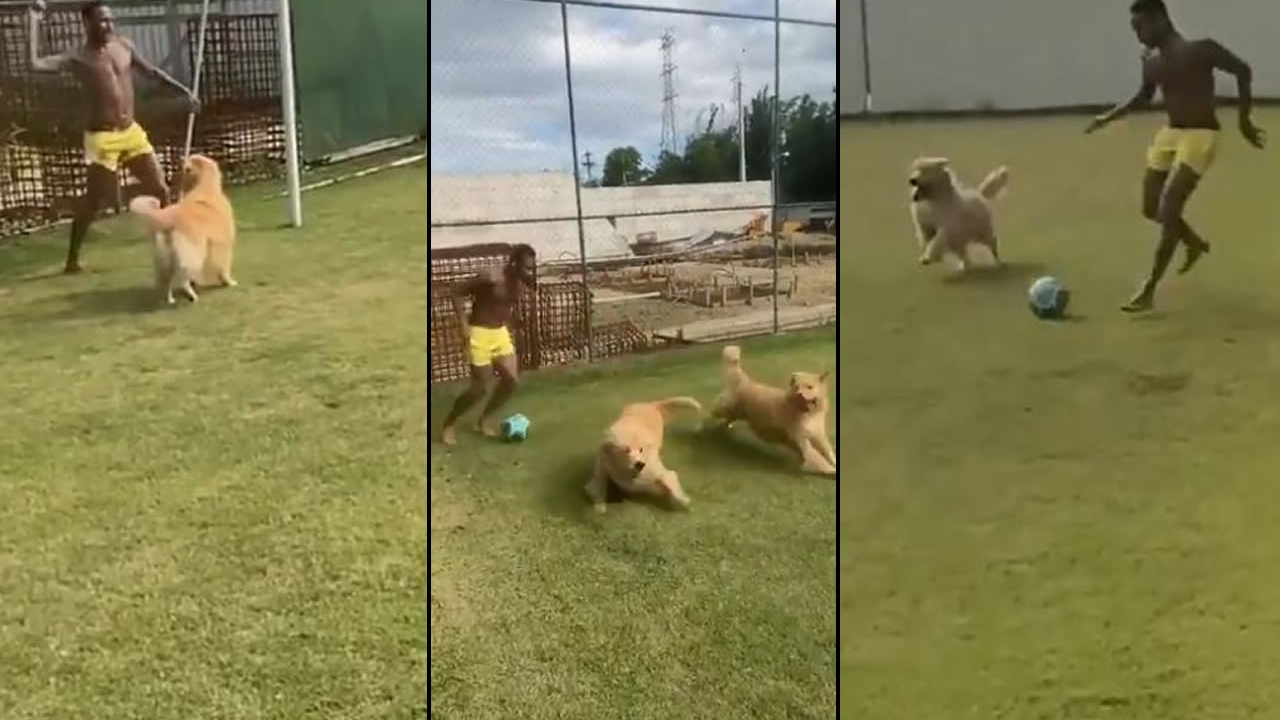 Neymar köpekleriyle antrenmanda!