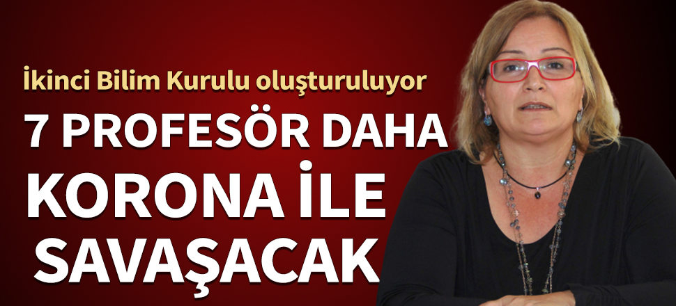 İkinci Bilim Kurulu oluşturuluyor! 7 profesör daha koronayla savaşacak