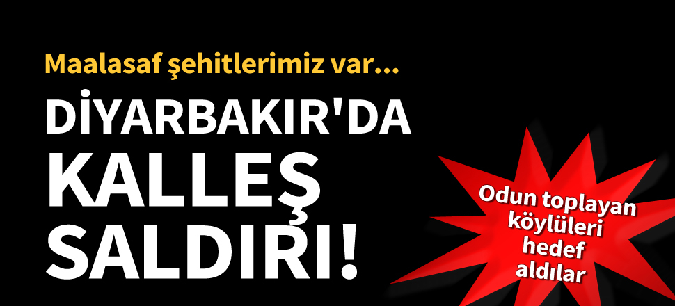 Son dakika! Diyarbakır'da PKK odun toplayan köylülere saldırdı: 5 köylü şehit
