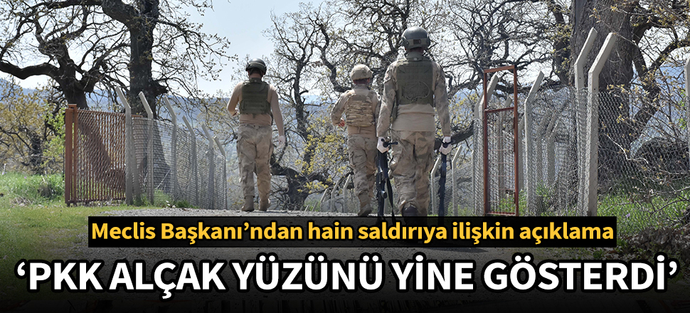 TBMM Başkanı'ndan Diyarbakır'daki saldırıya ilişkin açıklama: Hak ettikleri cevap verilecektir