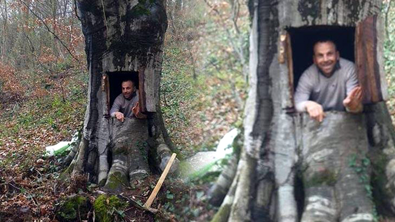 Koronavirüsten korunmak için ağacı oydu!