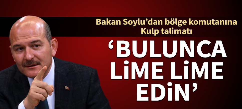 Bakan Soylu'dan Kulp talimatı: Bulunca lime lime edin