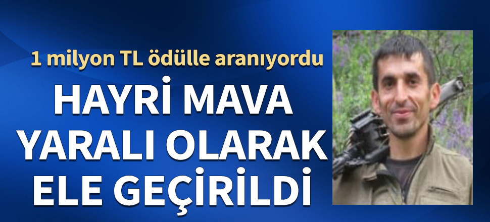 1 milyon TL ödülle aranıyordu! Terörist Hayri Mava yaralı ele geçirildi