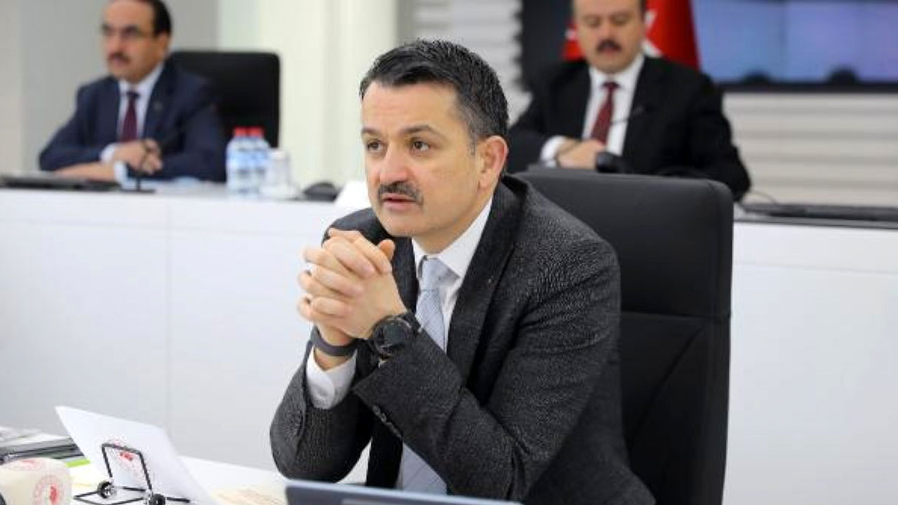 Bakan açıkladı! Ödemeler bugün hesaplarda olacak
