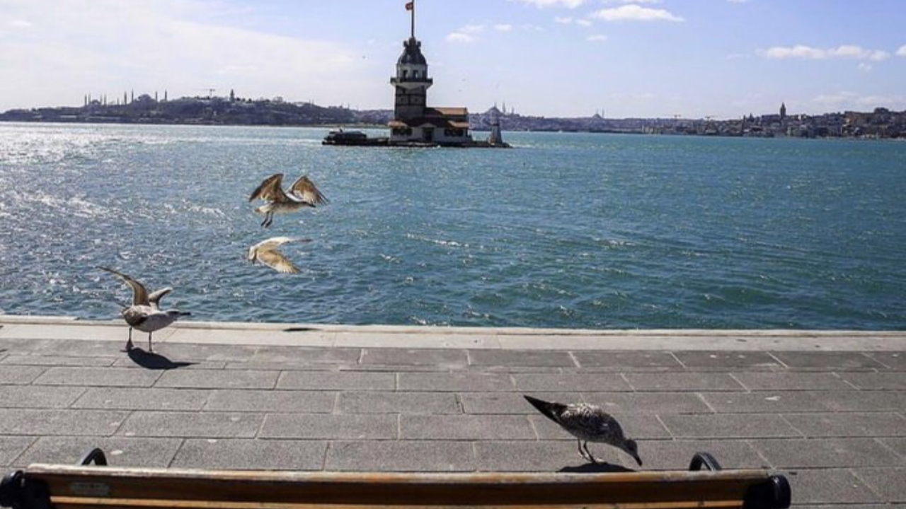 Bakan Koca'dan mesaj var! Bu fotoğrafla paylaştı...