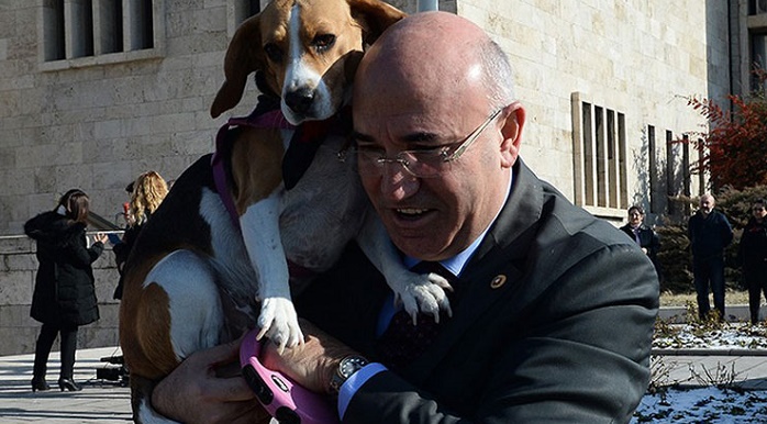 ''Isırık'' tartışmasında son perde: CHP'li Tanal Meclis'e köpeğiyle geldi