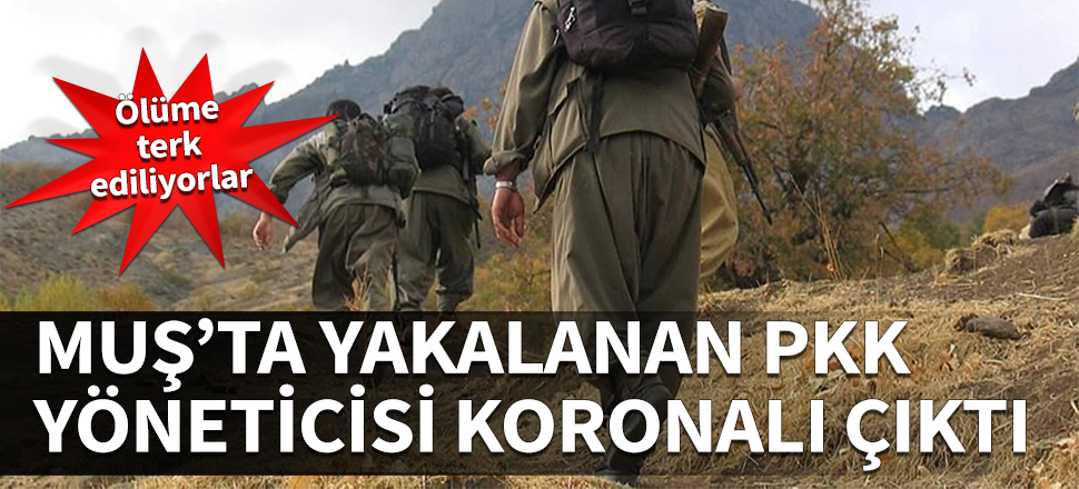 Muş'ta yakalanan PKK yöneticisi koronavirüslü çıktı