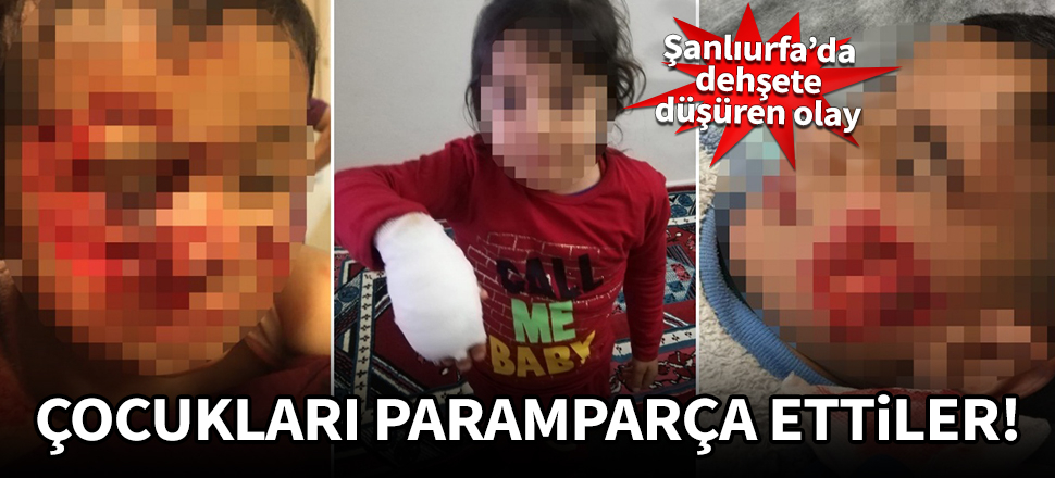 Şanlıurfa'da dehşete düşüren olay! 6 çocuğu bu hale getirdiler