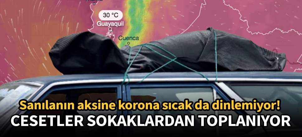 Sıcaklığın 30 derece olduğu ülkede cesetler sokaktan toplandı