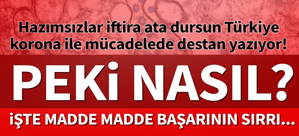 Türkiye'nin korona başarısında "filyasyon" yönteminin sırrı...