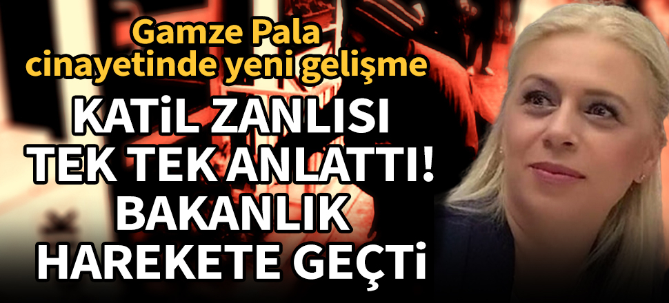 Gamze Pala'nın katili itiraf etti! Bakanlık harekete geçti