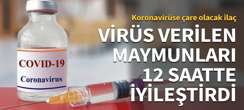 Koronaya çare olacak ilaç! Maymunları 12 saatte iyileştirdi...