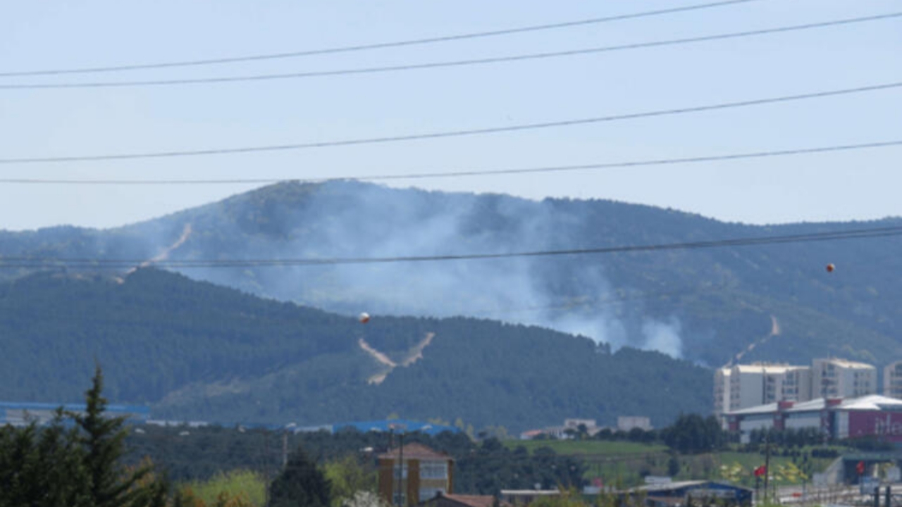 Kartal'da ormanlık alanda yangın!