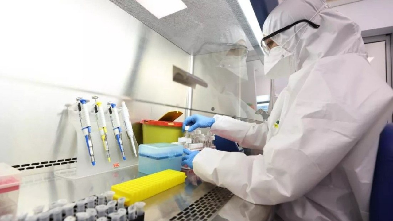 "Yarasadan virüs alıp ucuna HIV'den parça çakacaksın böyle bilim olmaz olsun"