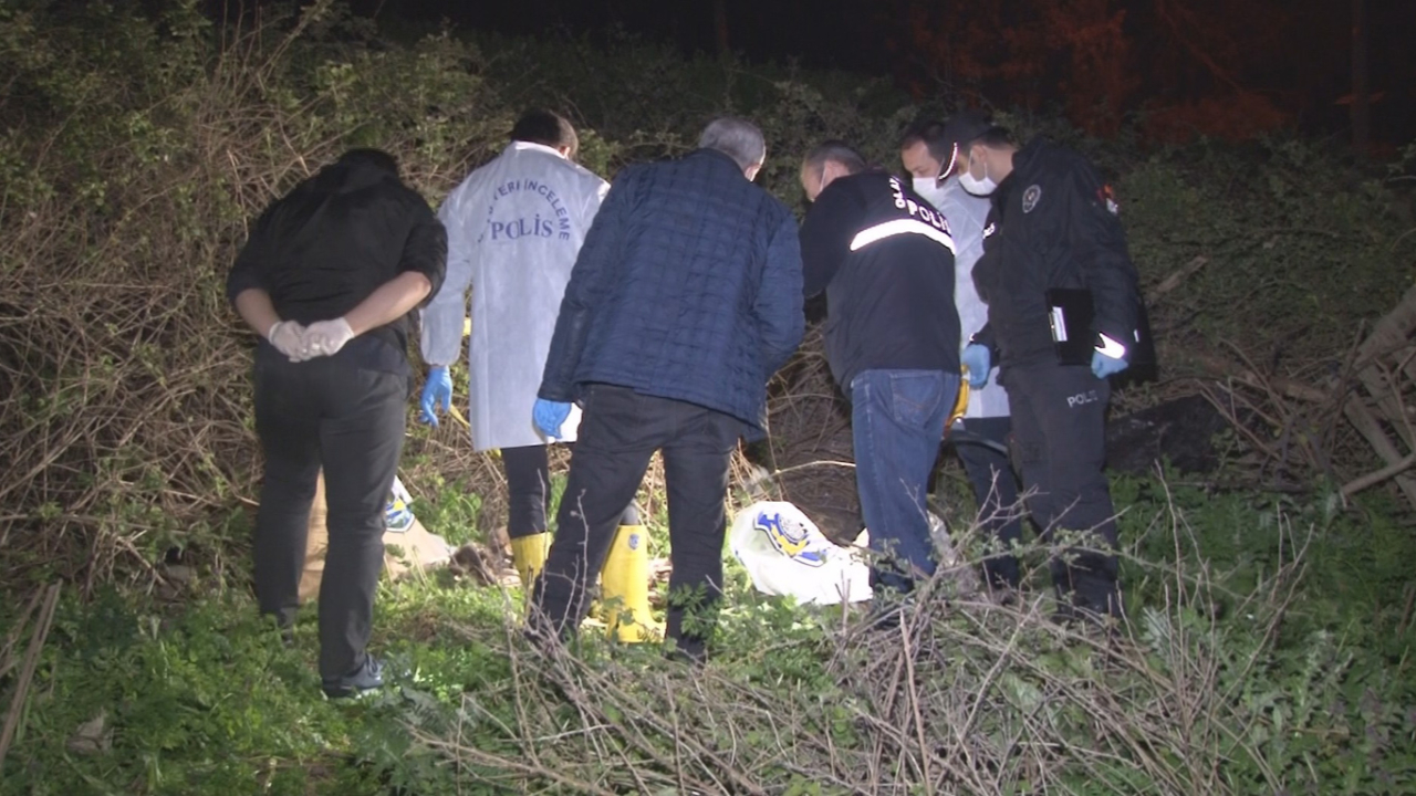 Avcılar'da boş arazide çok sayıda kemik ve kafatası bulundu