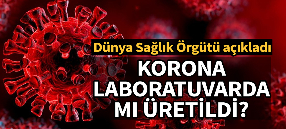 DSÖ'den 'virüs laboratuvarda üretildi' iddialarına açıklama