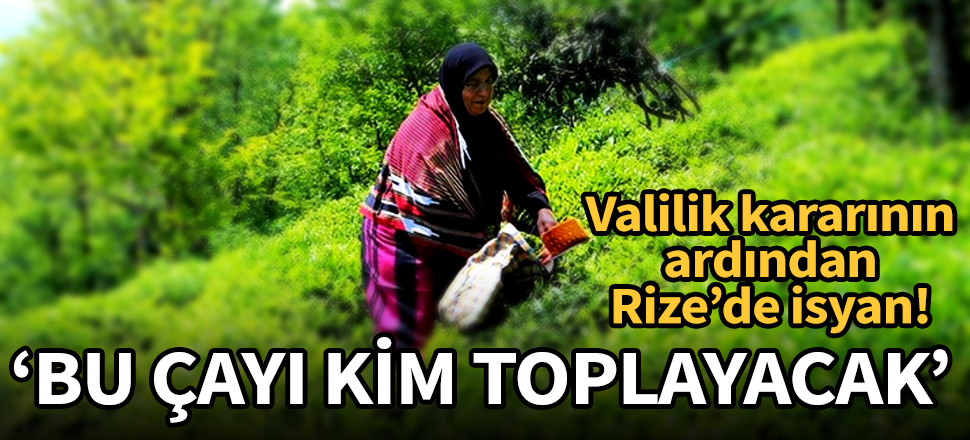 Rize'de isyan: Bu çayı kim toplayacak!