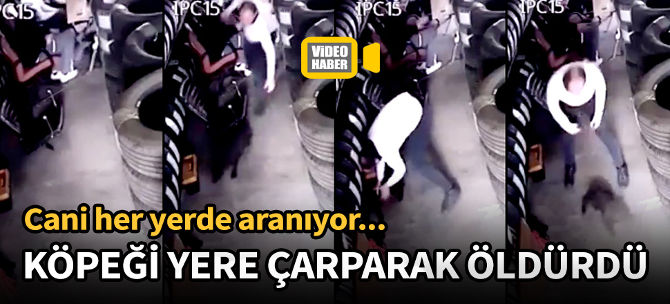Yavru köpeği yere çarparak öldürdü!