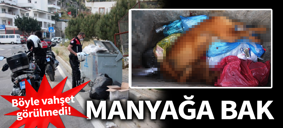 Tüfekle vurduğu, can çekişen köpeği çöpe attı!