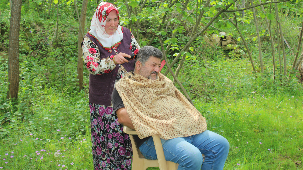 Fındık bahçesinde saç tıraşı