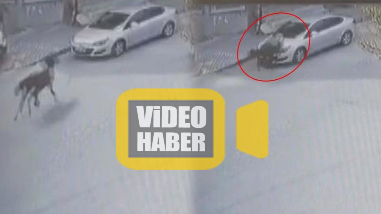 Son dakika... Görüntüleri izleyince hayatının şokunu yaşadı! Arabasını bir at pert etti