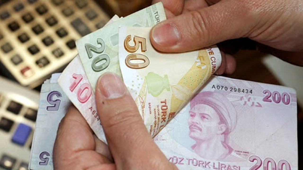 BES'te yabancı para cinsinden devlet katkısı oranı yüzde 10 oldu