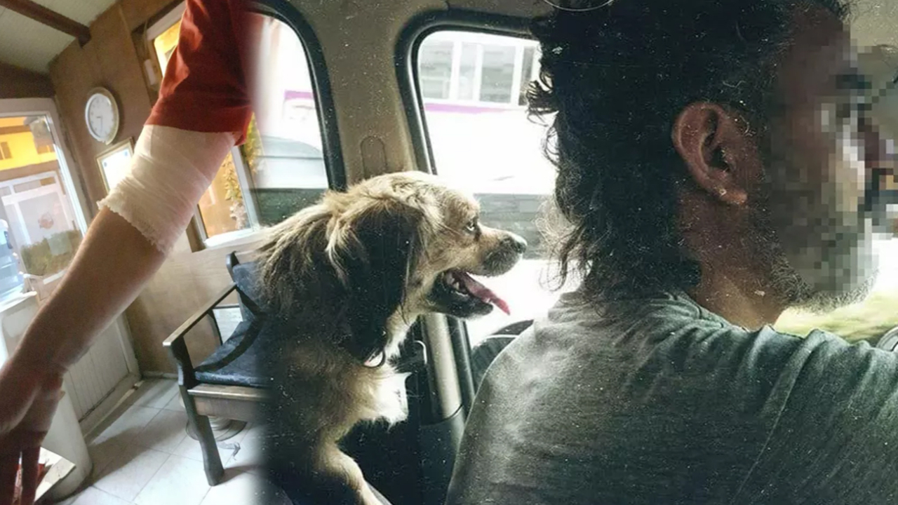 Son dakika... Adana'da alkollü 5 kişi, kendilerine havlayan 2 köpeği ve sahibini bıçakladı