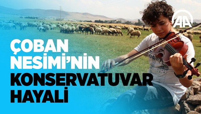Tatillerde çobanlık yapan Nesimi'nin konservatuvar hayali...