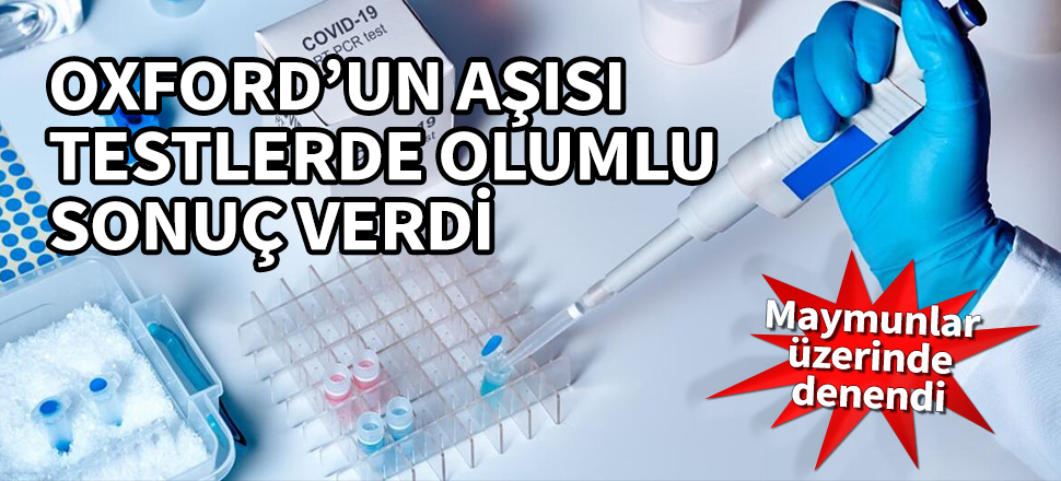 Oxford'un aşısı testlerde olumlu sonuç verdi