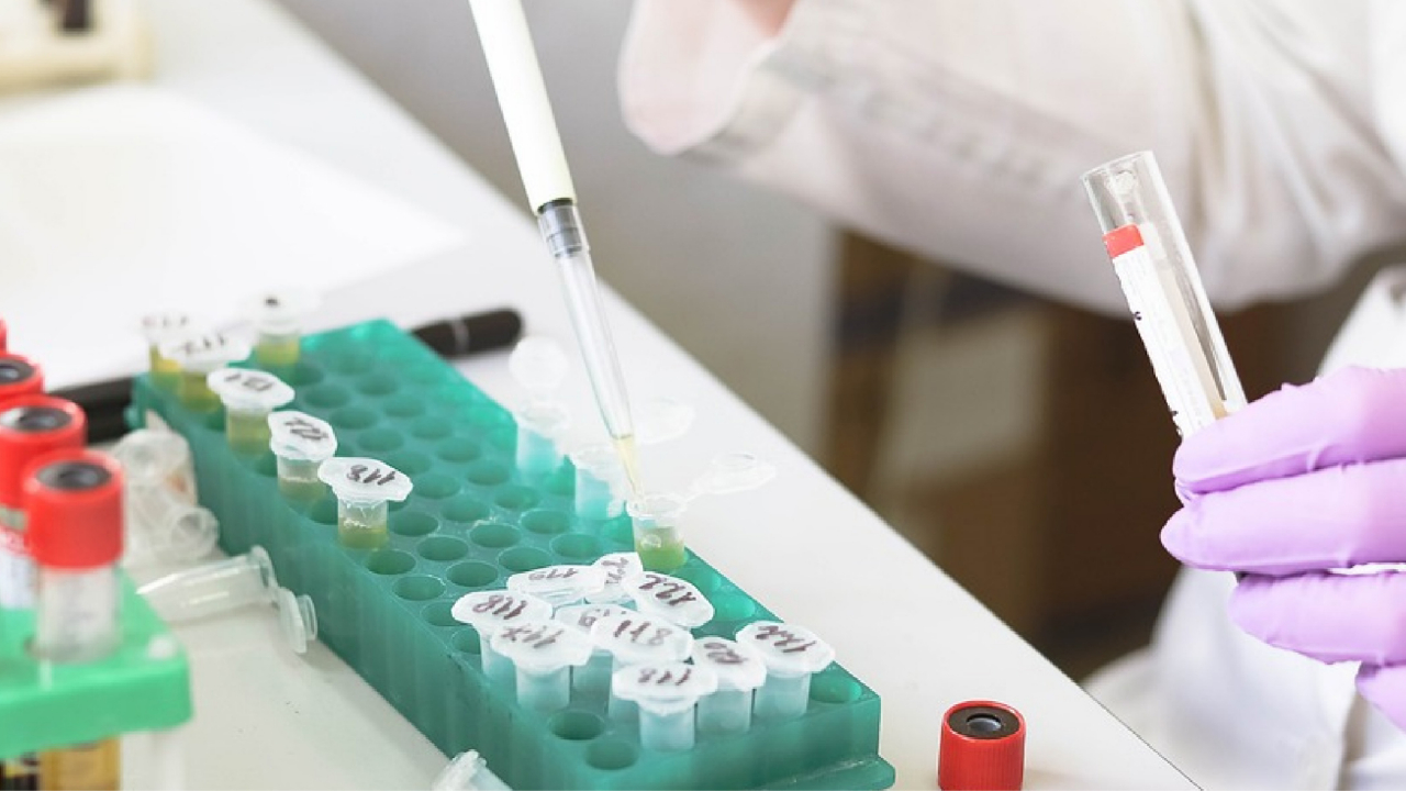 Kanseri daha erken evrede tespit edecek test geliştirildi!