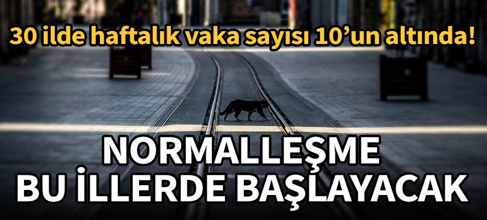 Vaka sayısının 10'un altına düştüğü illerde normalleşme başlayacak