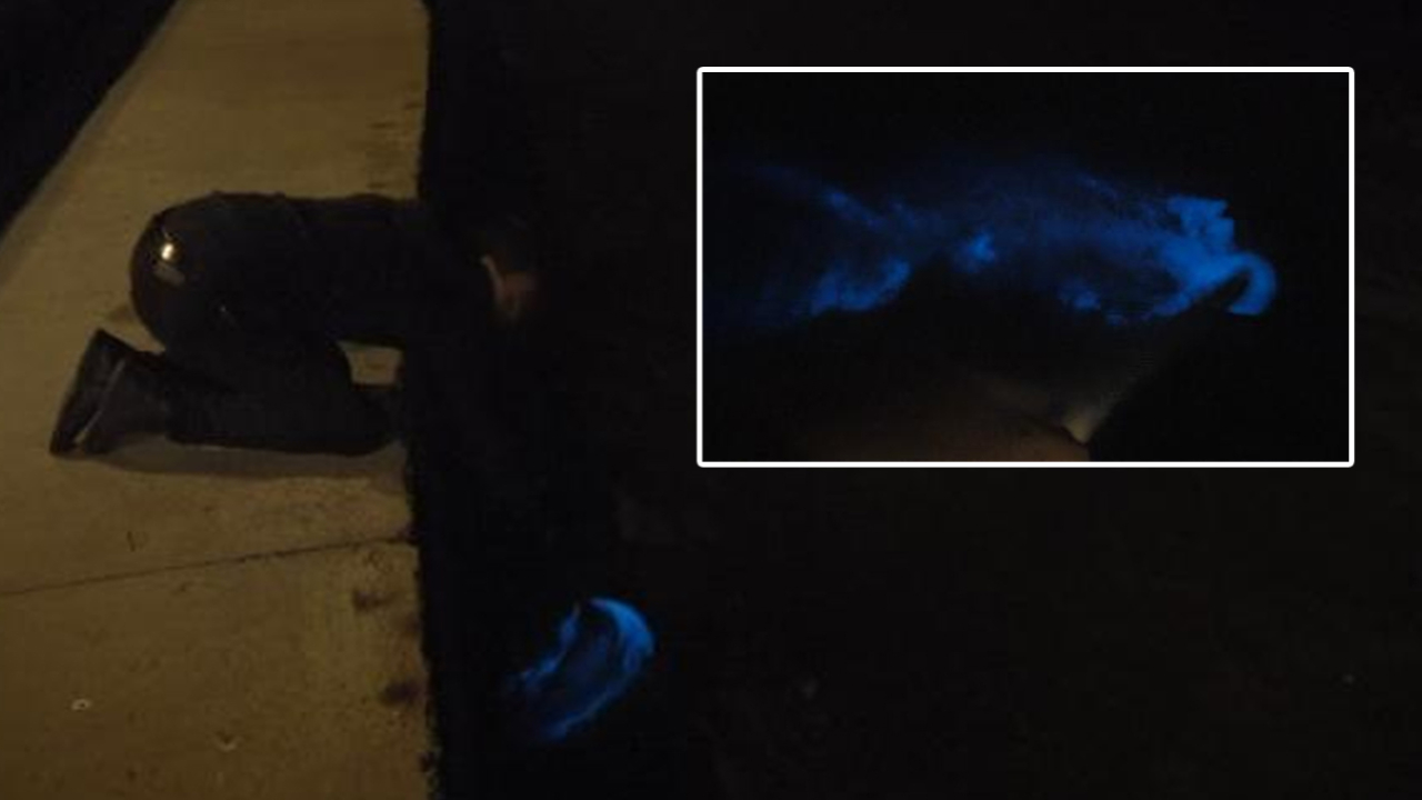 Büyükçekmece sahilinde 'mavi ışık' heyecanı
