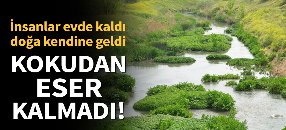 Son dakika... Kokudan eser kalmadı! İnsanlar evde kaldı, doğa kendine geldi