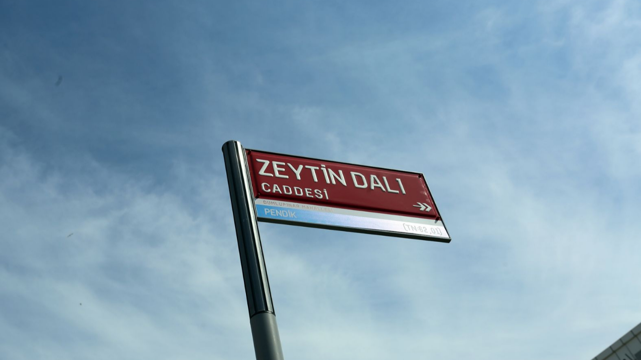 İstanbul sokakları renklenecek! Tam 75 bin adet...