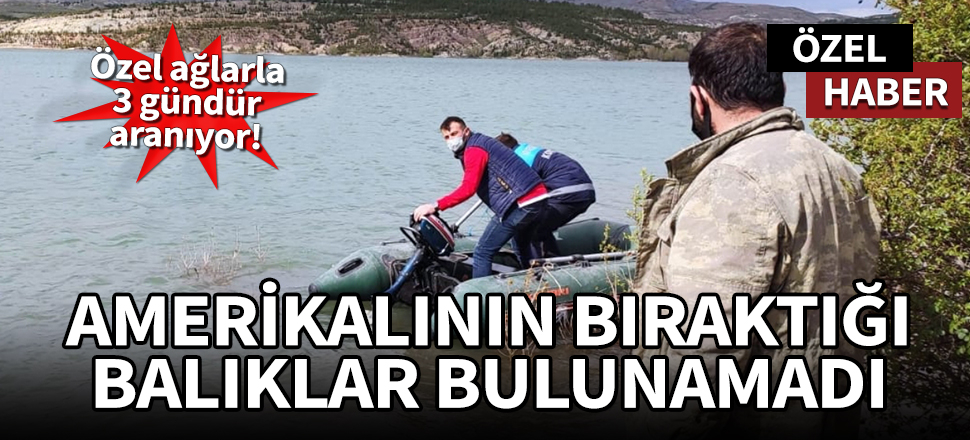 Amerikalının bıraktığı balıklar bulunamadı!