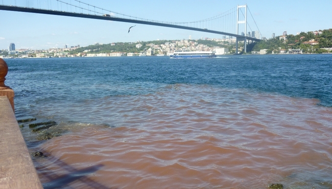 İstanbul Boğazı kana büründü!