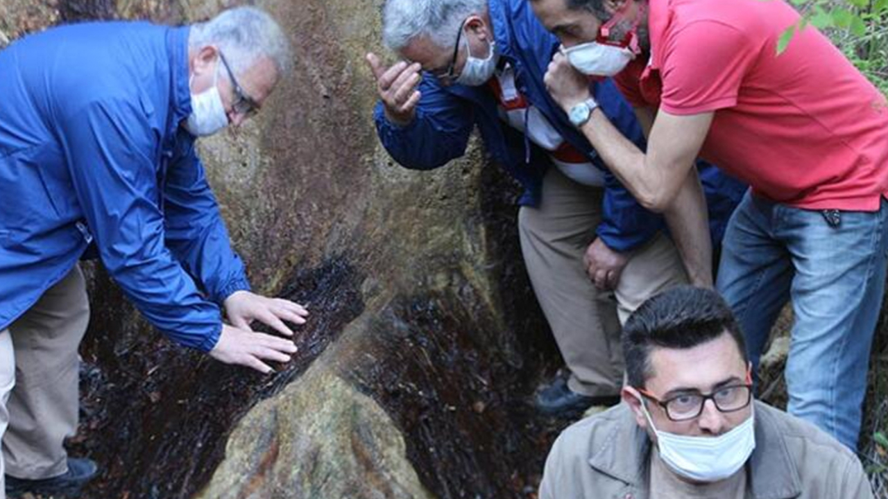 Son dakika... Yılda sadece bir gün akıyor! Sarıkız bu yıl yalnız ağladı