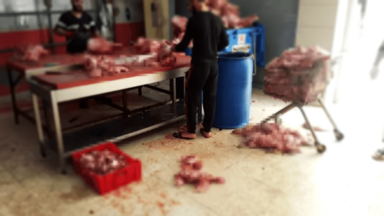 Adana'da sakatat operasyonu! Tam 1,5 ton ele geçirildi!