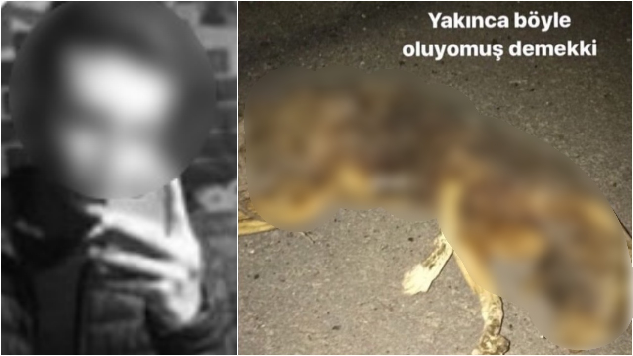 Bu nasıl vahşet! Sosyal medyadan tepki yağdı...