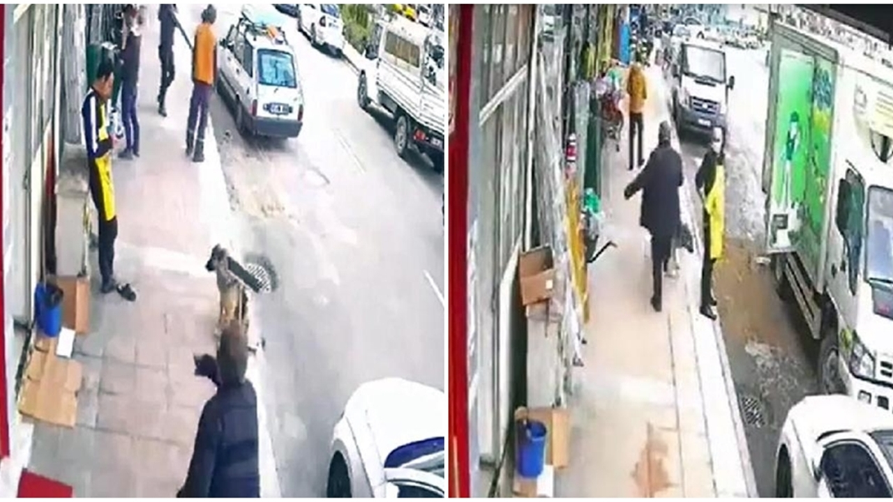 Yiyecek bekleyen köpeğe önce süpürge, sonra tekme attı!