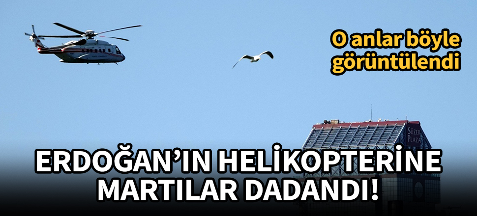 Cumhurbaşkanı Erdoğan'ın helikopterine martılar dadandı!