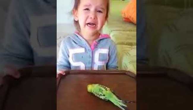 Kuşu sen öldürdün diyerek küçük kızın psikolojisini bozdu!