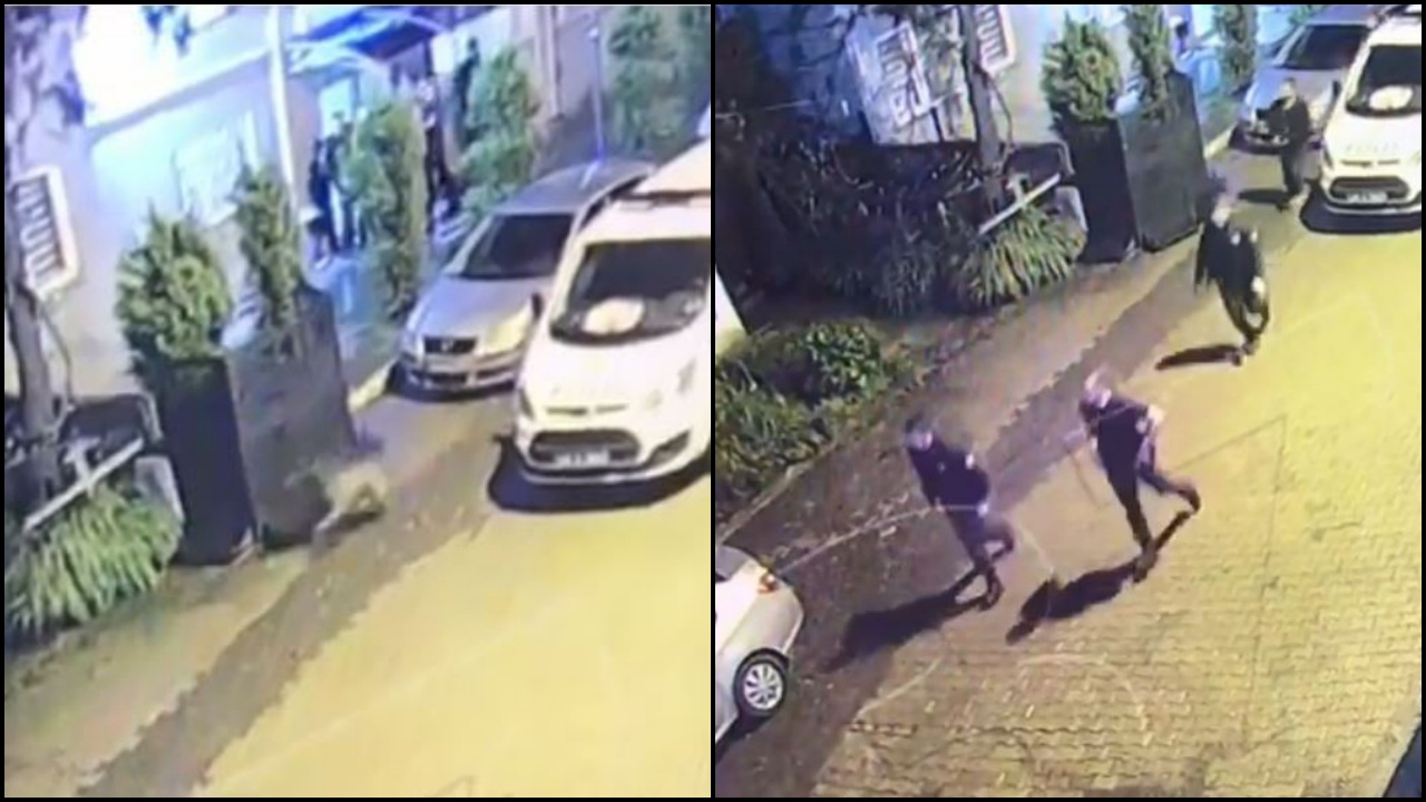 Emniyetin önünden geçen ayılar, polisleri harekete geçirdi