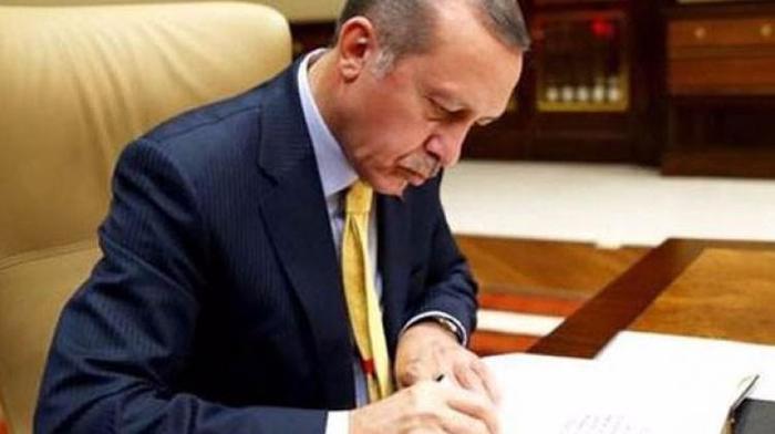 Cumhurbaşkanı Erdoğan 12 üniversiteye rektör atadı