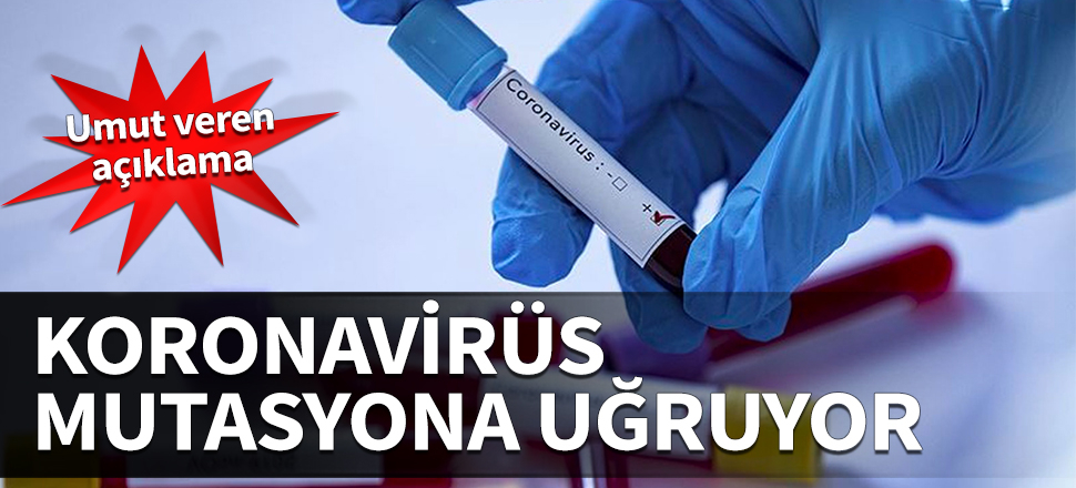 Koronavirüs mutasyona uğruyor! Umut veren açıklama...