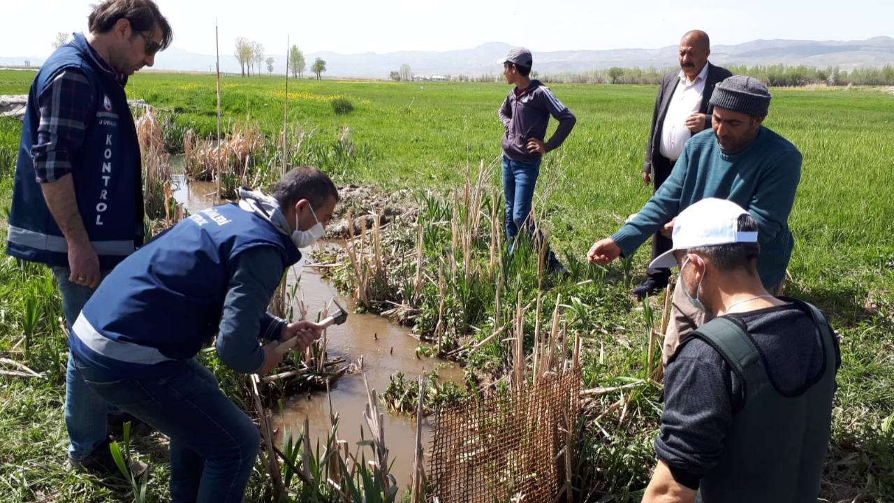 Ölmek üzere olan 3 ton balığı kovalarla taşıdılar
